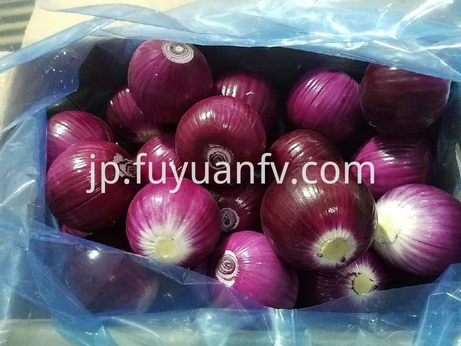 red onion